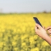 Investigadores del CSIC desarrollan una aplicación que permite optimizar el trabajo de los agricultores