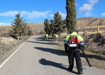 Brigada de mantenimiento realizando labores de desbroce.