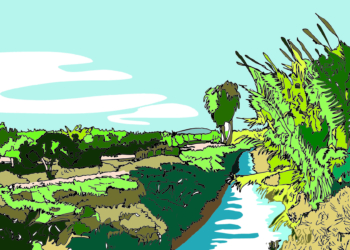 Ilustración: Vicent Blanes