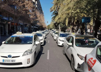 Los taxis que realizarán el servicio son los mismos vehículos que circulan por Alicante.