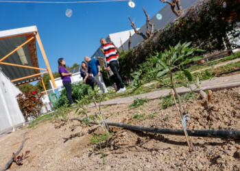 Los alumnos ya pueden recoger los frutos de lo sembrado.