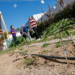 Los alumnos ya pueden recoger los frutos de lo sembrado.