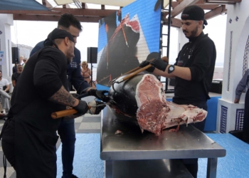 El ronqueo de un ejemplar de 170 kilos prologa las terceras Jornadas del Atún rojo de Benidorm