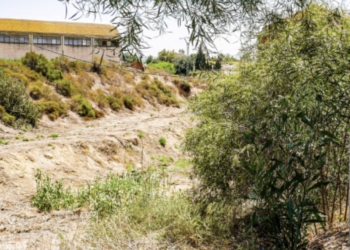 Continúan los trabajos de mantenimiento y limpieza en las ramblas de Crevillent