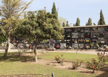 San Vicente inicia el proceso para ampliar el cementerio