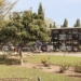 San Vicente inicia el proceso para ampliar el cementerio