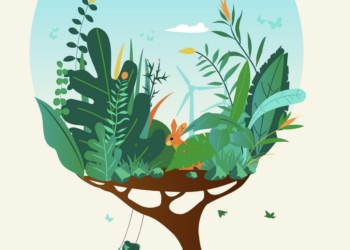 Villena se suma al Día Internacional de los Museos