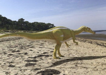 Descubren en Castellón a ‘Campeón’, una nueva especie de dinosaurio