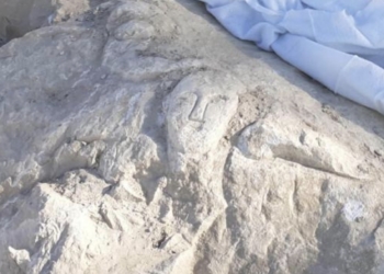 El ‘castellum’ del Tossal de la Cala arroja un hallazgo excepcional: un relieve único en los territorios romanos