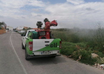 Medio Ambiente intensifica la fumigación de larvas de mosquito tras los episodios de lluvias
