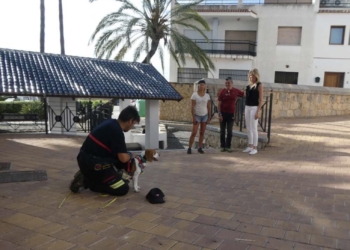 Unidades caninas de Bomberos entrenan rastreo de personas en las calles de La Nucía