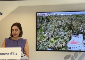 El BOP publica el Plan de Movilidad Urbana Sostenible de Elche