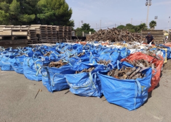 Torrevieja celebrará la noche de Hogueras de San Juan en sus playas