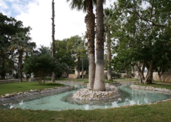 La alcaldesa visita el Parc Nou para estudiar la instalación de zonas de sombra