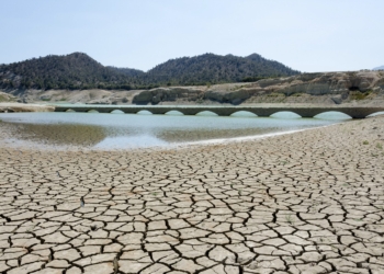 Una herramienta desarrollada por el CSIC para medir las sequías pasa a integrar el catálogo de Google Earth Engine