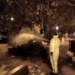 Villena intensifica las medidas de control de mosquitos en zonas verdes y acequias