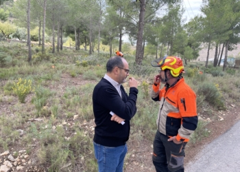Medio Ambiente acomete una faja de prevención de incendios en el perímetro norte y este de Loma Badá