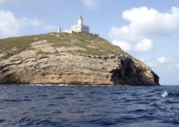 Un estudio liderado por la Universita confirma que las víboras habitaban les Columbretes hace 2.600 años