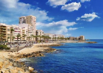 Se constituye la Plataforma Sumar Torrevieja