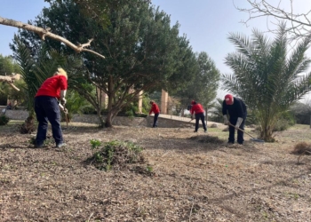 Orihuela recibe una subvención de 66.000 euros para la contratación de peones forestales