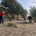 Orihuela recibe una subvención de 66.000 euros para la contratación de peones forestales