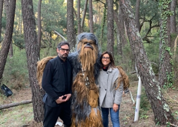 «Concibo las redes como un divertimento»