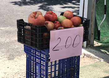 El mejor tomate, en la carretera