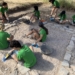 El IVAJ comienza los campos de voluntariado de verano en los que participarán 275 jóvenes