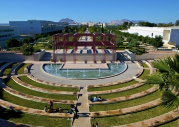 Investigadores de la Universidad de Alicante, más cerca de conseguir el Avance Científico del Año 2023