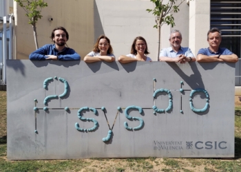 Una nueva técnica permite hallar por primera vez bacterias con interés farmacéutico en babosas marinas