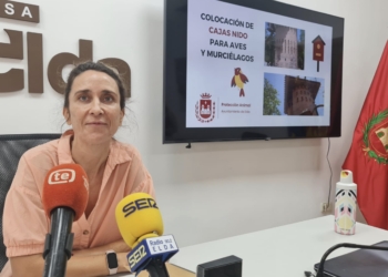 Medio Ambiente instala cajas nido para proporcionar refugio seguro a especies locales de aves y murciélagos