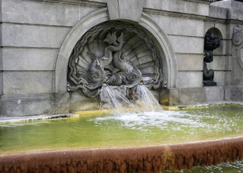 Las fuentes y alcantarillas influyen en la presencia de mosquitos en áreas urbanas