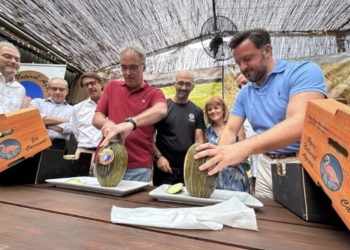 La producción de melón de Carrizales se reduce esta temporada a los 200.000 kilos