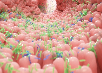 La microbiota produce un compuesto a partir de la fibra alimentaria que reduce la gravedad de enfermedades hepáticas