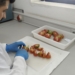 El proyecto de investigación Valhitom de la UMH acerca al mercado variedades de tomate con resistencia genética a virus