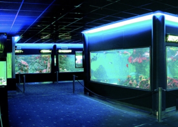 Comienza la singladura del Aquarium como sala externa del Museo del Mar de Santa Pola