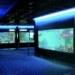 Comienza la singladura del Aquarium como sala externa del Museo del Mar de Santa Pola