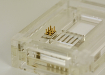Desarrollan un dispositivo en papel para el diagnóstico rápido de enfermedades pulmonares