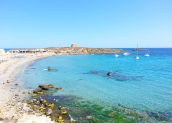 Guitarras de calabaza y alma de música
