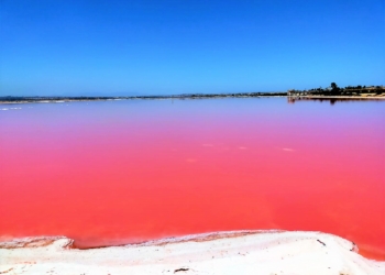 «Ya estamos trabajando para aplicarlo en otros tipos de cáncer como la leucemia»