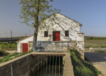 Desde la arbolada altura a la húmeda llanura