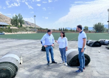 Renovación integral del campo Luiche