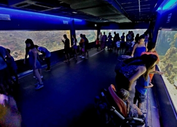 El Aquarium de Santa Pola reabre sus puertas