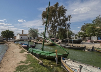 Los populosos anillos de Saturno