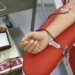 Más de 1.350 personas donaron sangre en Alcoi durante los primeros 7 meses de 2023