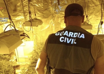La Guardia Civil desmantela un grupo criminal dedicado a la plantación de marihuana en Altea e Ibi