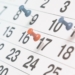 San Vicente del Raspeig aprueba el calendario de días festivos para el próximo año
