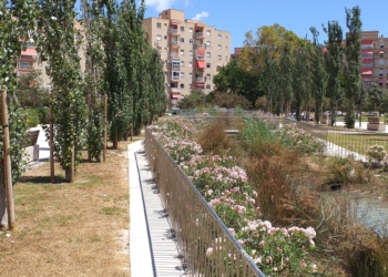 Reutilización del agua en Alicante: éxito del modelo de gestión y referente internacional