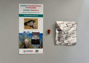 Ya están disponibles las feromonas de las trampas contra la procesionaria