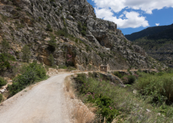 Y los raíles se transformaron en paseantes